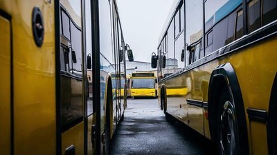 Автобуси