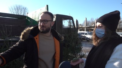 У Тернополі перевірили підприємців, які продають ялинки У Тернополі перевірили підприємців, які продають ялинки