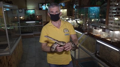 Удав, якого знайшли на пляжі Одеси, одужав і залишиться в дельфінарії Удав, якого знайшли на пляжі Одеси, одужав і залишиться в дельфінарії