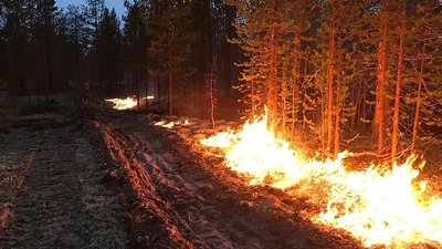 На Полтавщині цими вихідними оголосили 5 клас пожежної небезпеки