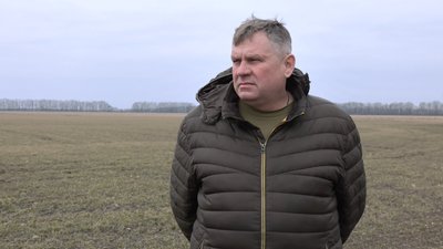 На Полтавщині озимина перезимувала добре: думка фахівця На Полтавщині озимина перезимувала добре: думка фахівця