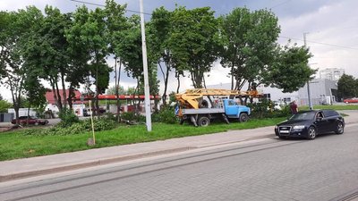 У Львові облаштують тренувально-вигульний майданчик для собак У Львові облаштують тренувально-вигульний майданчик для собак