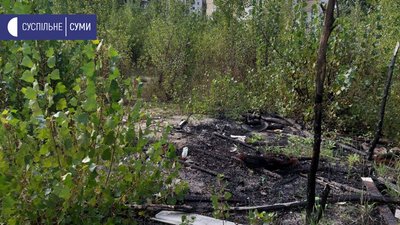 Горіло стихійне сміттєзвалище: комісія, що вивчала задимлення Сум, завершила роботу над питанням Горіло стихійне сміттєзвалище: комісія, що вивчала задимлення Сум, завершила роботу над питанням