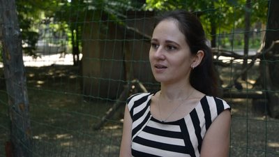 В Одеському зоопарку рятують лебедя з отруєнням В Одеському зоопарку рятують лебедя з отруєнням