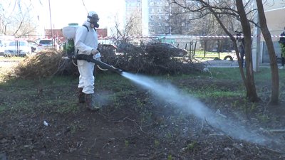 У Слов’янську парки та сквери оброблять від кліщів