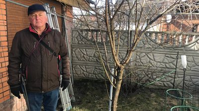 природа, екологія, обрізка, дерево, сад, плодові дерева, садівник природа, екологія, обрізка, дерево, сад, плодові дерева, садівник