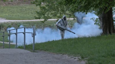 Дезінсекція проти комах, проспект Волі