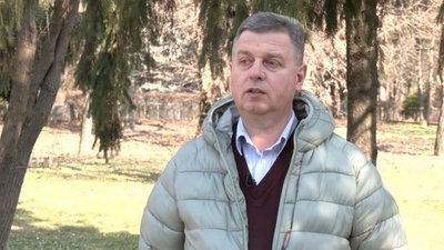Квіти, які не зникають: що відбувається зі штучними квітами з кладовищ Луцька Квіти, які не зникають: що відбувається зі штучними квітами з кладовищ Луцька