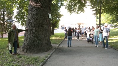 Екскурсія віковими деревами Екскурсія віковими деревами