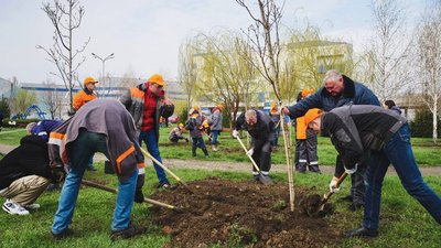 Алеї гібіскусів і верб. У Кривому Розі висаджують дерева на знак дружби з містами Південної Кореї й Німеччини