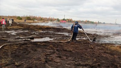 Чоловіка, якого підозрюють у самовільному підпалі торф'яника на Волині, досі шукають Чоловіка, якого підозрюють у самовільному підпалі торф'яника на Волині, досі шукають