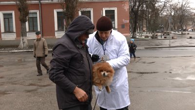 Володимир Єднак і Віталій Тєльний вакцинують собаку Володимир Єднак і Віталій Тєльний вакцинують собаку