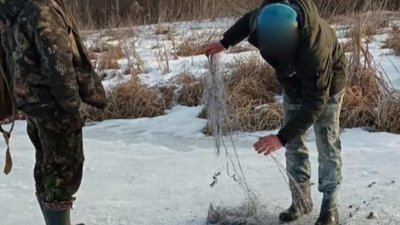 На Волині браконьєри сітками ловили рибу в річці На Волині браконьєри сітками ловили рибу в річці