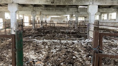 ферма кутузівка ферма кутузівка