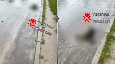 Правоохоронці перевіряють факт жорстокого поводження з тваринами на Рівненщині
