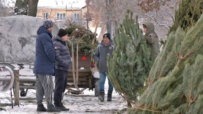 У Луцьку запрацювали ялинкові ринки. Що пропонують до свят У Луцьку запрацювали ялинкові ринки. Що пропонують до свят
