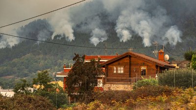 Причиною пожеж на іспанському Тенеріфе міг стати навмисний підпал Причиною пожеж на іспанському Тенеріфе міг стати навмисний підпал