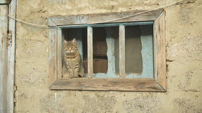 За 12 кілометрів від лінії фронту: як живе під обстрілами спустошіле Тернувате на Запоріжжі За 12 кілометрів від лінії фронту: як живе під обстрілами спустошіле Тернувате на Запоріжжі