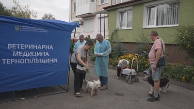 вакцинація тварин, вакцина від сказу, вакцинувати собаку, вакцина для кота, сказ