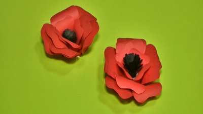 Майстер-клас із виготовлення квітки маку провели у Вінниці у дитячій бібліотеці Майстер-клас із виготовлення квітки маку провели у Вінниці у дитячій бібліотеці