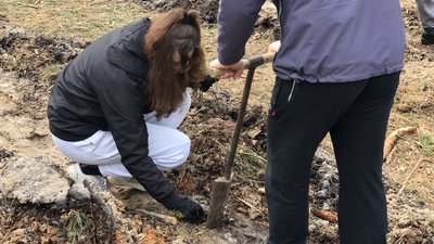 Лісівники Полтавщини весною планують висадити більше трьох мільйонів саджанців Лісівники Полтавщини весною планують висадити більше трьох мільйонів саджанців