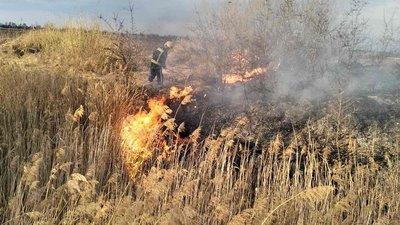 Горить очерет на Волині