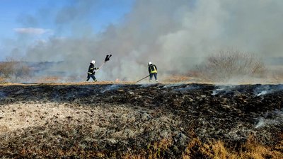 Рятувальники гасять вогонь на Волині, пожежа на Волині, горів сухостій, підпал сухостою
