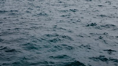 Знайшли у річці: на Черкащині чоловіка вбила знайома