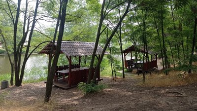 Виявляють порушників: на Дніпропетровщині лісівники проводять рейди Виявляють порушників: на Дніпропетровщині лісівники проводять рейди