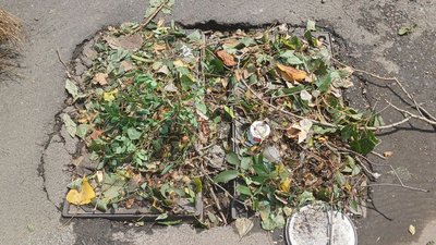 У Миколаєві через зливу та буревій попадали дерева