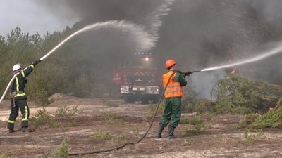 На Чернігівщині лісівники, військові та рятувальники тренувалися гасити лісові пожежі