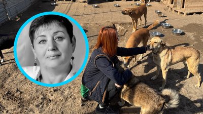 Собаки загиблої зооволонтерки Пономаренко