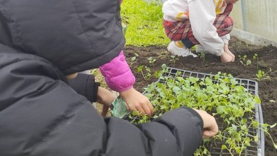 "Коли людина працює з землею, вона заспокоюється": у шелтері на Рівненщині практикують садотерапію "Коли людина працює з землею, вона заспокоюється": у шелтері на Рівненщині практикують садотерапію