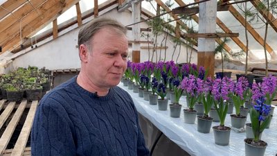 140 гіацинтів шести сортів та крокуси вперше виростили на Прилуцькій дослідній станції на Чернігівщині 140 гіацинтів шести сортів та крокуси вперше виростили на Прилуцькій дослідній станції на Чернігівщині