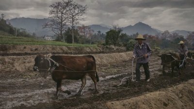 Фотовиставка "Зірка Різдва – 2020" відкрилася в Запоріжжі