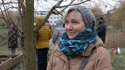 "Сади зростання": у Луцьку готують до зими міський город "Сади зростання": у Луцьку готують до зими міський город