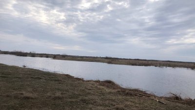 На Рівненщині в ставку потонув 17-річний рибалка На Рівненщині в ставку потонув 17-річний рибалка