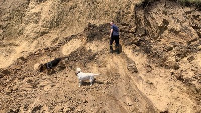 У Тузлівській ОТГ назвали ймовірну причину зсуву ґрунту на Одещині