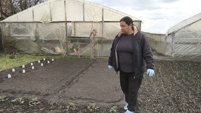 Вирощує овочі та зелень: на Черкащині переселенка з Донеччини продовжує сімейну справу
