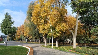 Дніпро, осінь