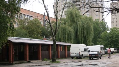 Що у Рівному робити із аварійними деревами Що у Рівному робити із аварійними деревами