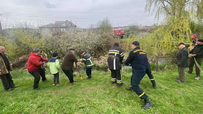 У Краматорську з річки врятували корову