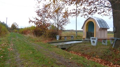 Зникаюче село Хоросна в Коломийському районі