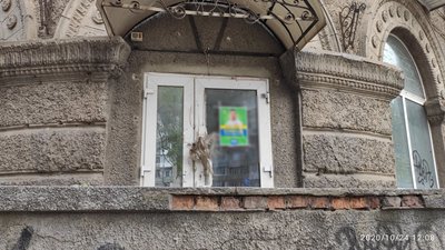 У "день тиші" на Миколаєвщині фіксували порушення виборчого законодавства У "день тиші" на Миколаєвщині фіксували порушення виборчого законодавства