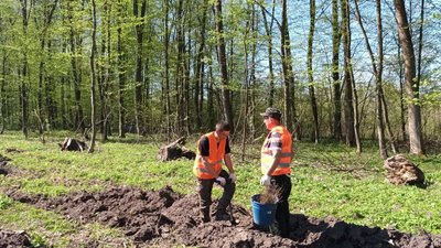 На Тернопільщині висаджують дерева На Тернопільщині висаджують дерева