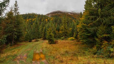 Осінні Карпати