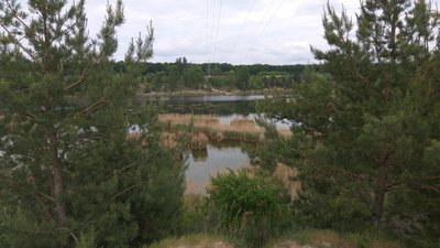 На Житомирщині розпочався купальний сезон – не всі водойми області придатні для купання На Житомирщині розпочався купальний сезон – не всі водойми області придатні для купання