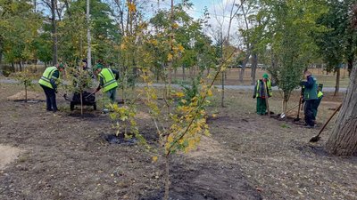 У столиці крадуть рослини, які нещодавно висадили комунальники