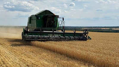 Жнива — 2026: на Кіровоградщині зібрали зернові на 92 тисячах гектарів