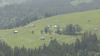 Бізнес на висоті. Як відкриття ринку землі впливає на прикарпатські полонини Бізнес на висоті. Як відкриття ринку землі впливає на прикарпатські полонини